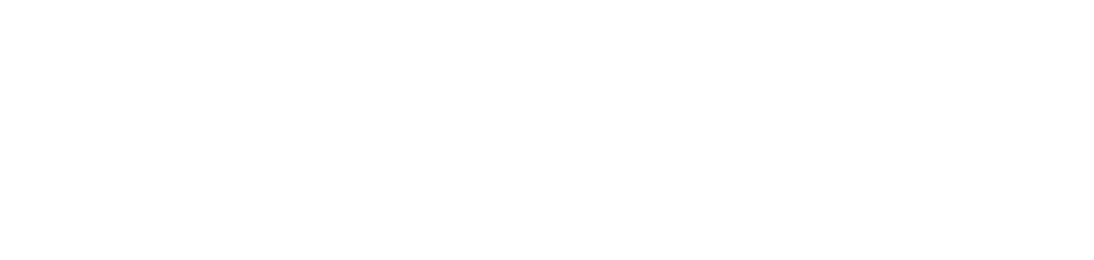 Enerpac Tool Group
 logo large for dark backgrounds (transparent PNG)