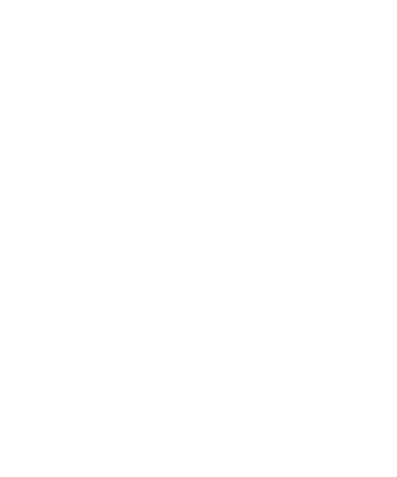 Europris logo for dark backgrounds (transparent PNG)