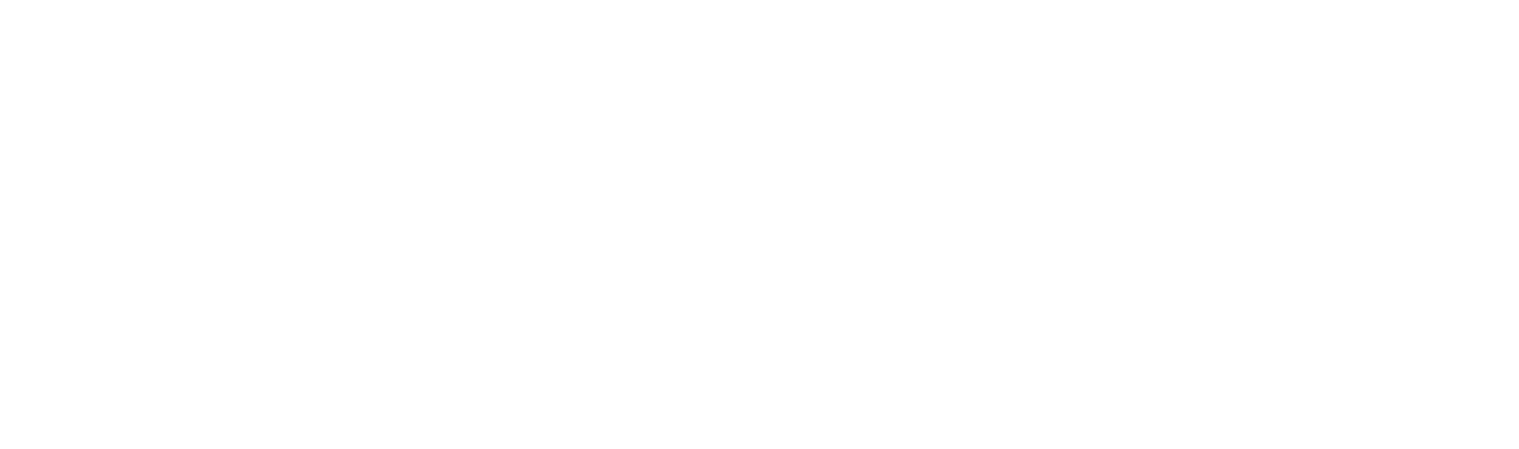 Europris logo large for dark backgrounds (transparent PNG)