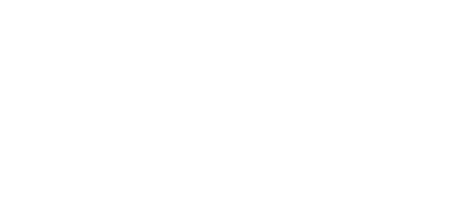 Epsilon Net logo grand pour les fonds sombres (PNG transparent)