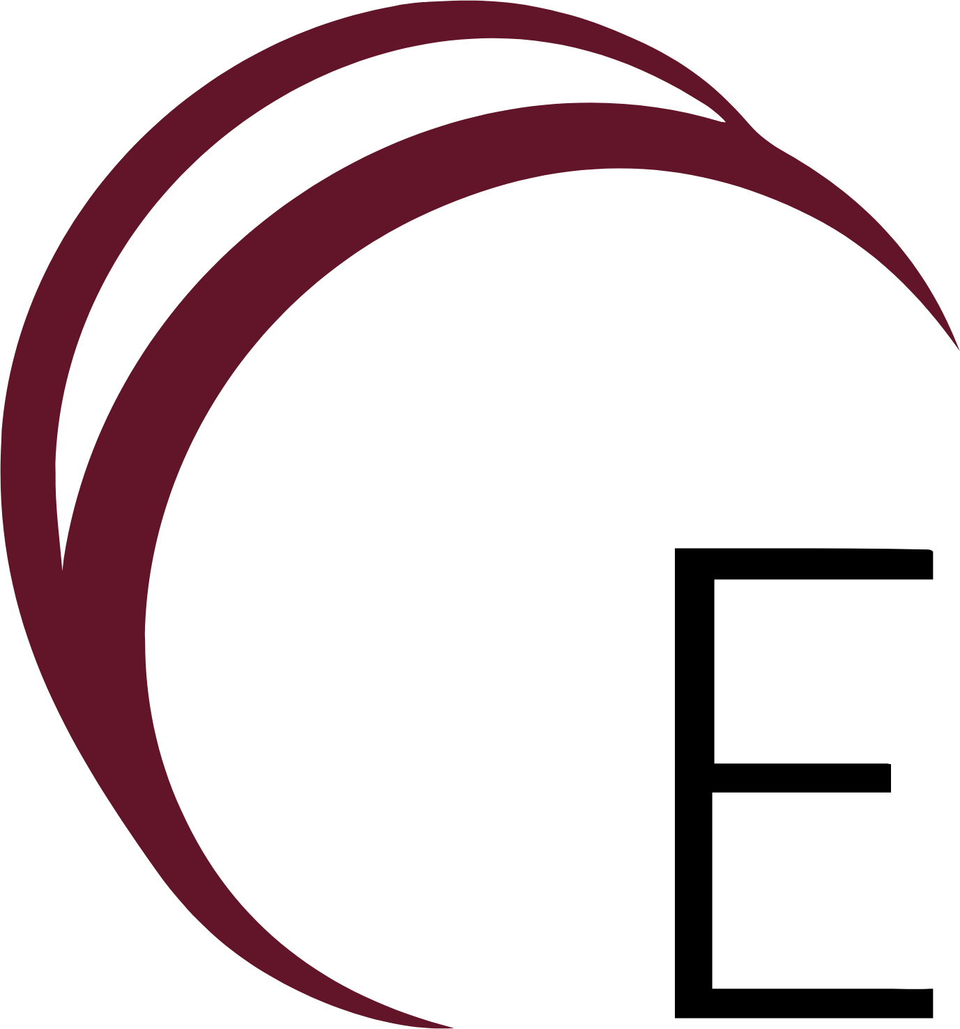 Epizyme logo (transparent PNG)