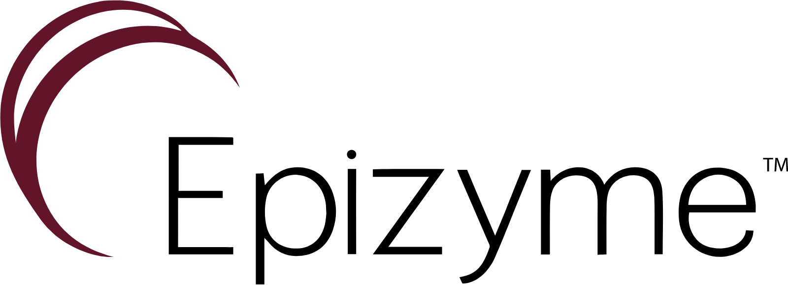 Epizyme logo large (transparent PNG)
