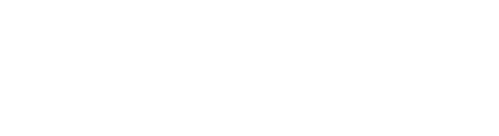 Enstar Group logo large for dark backgrounds (transparent PNG)