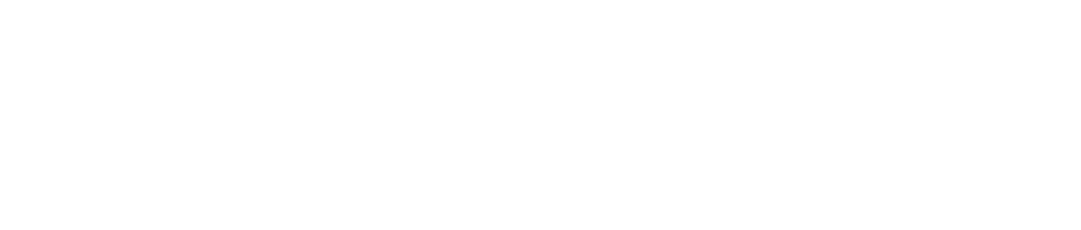 National Bank of Greece logo fulle size on a dark background (transparent PNG)