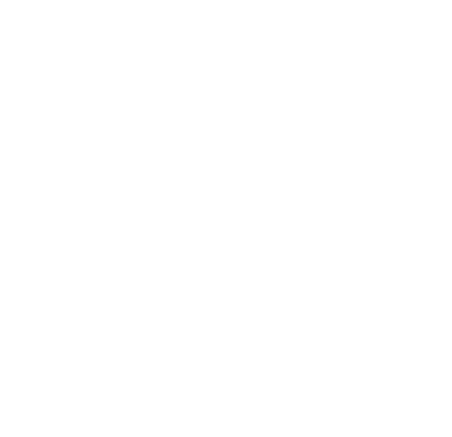 eVISO S.p.A. logo pour fonds sombres (PNG transparent)