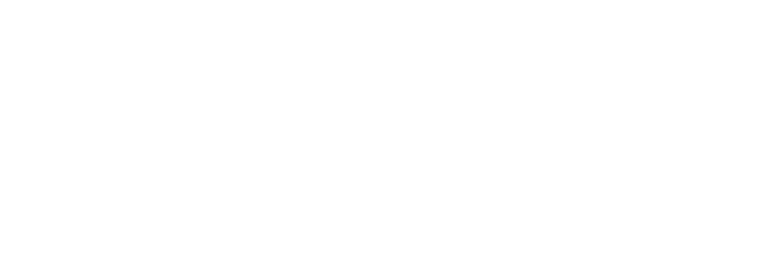 EVN Group
 logo on a dark background (transparent PNG)