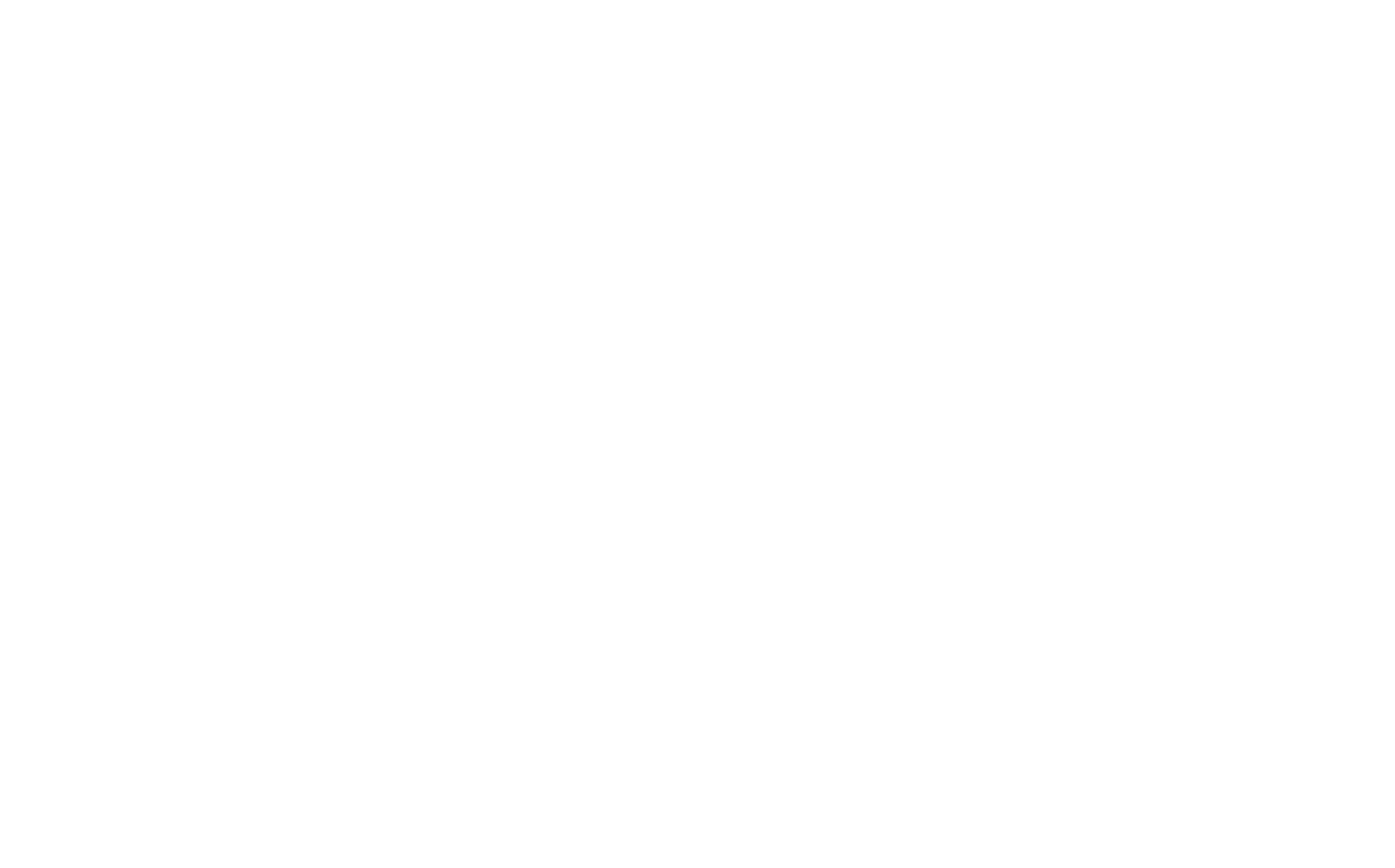EVO Payments logo for dark backgrounds (transparent PNG)
