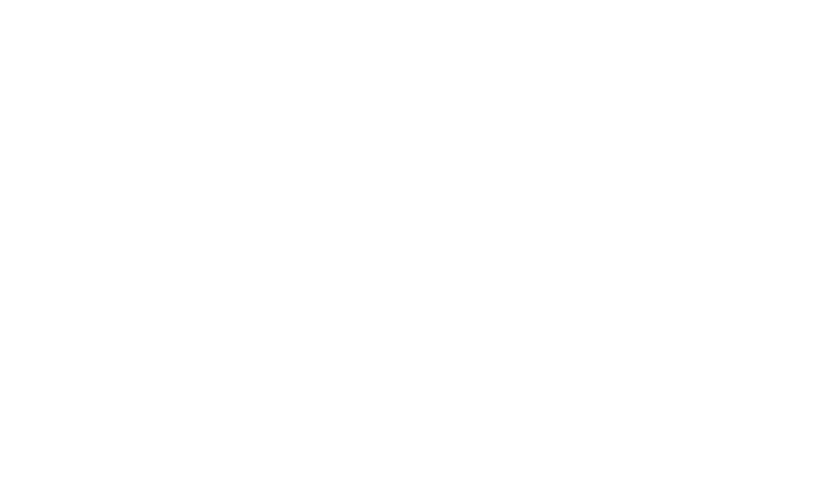 EVO Payments logo large for dark backgrounds (transparent PNG)