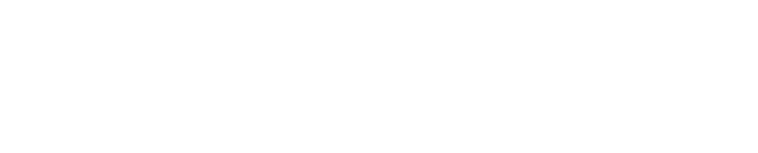 Evergy logo large for dark backgrounds (transparent PNG)