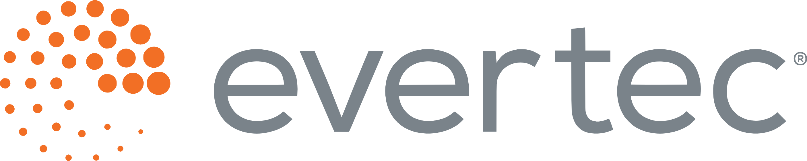Evertec logo large (transparent PNG)