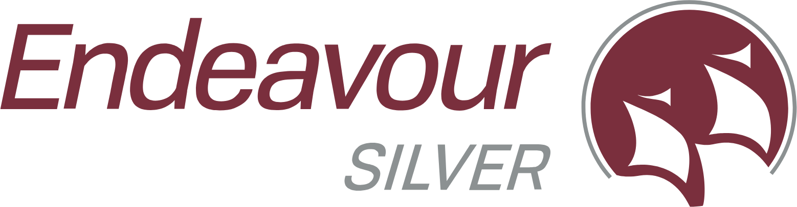 Endeavour Silver logo large (transparent PNG)