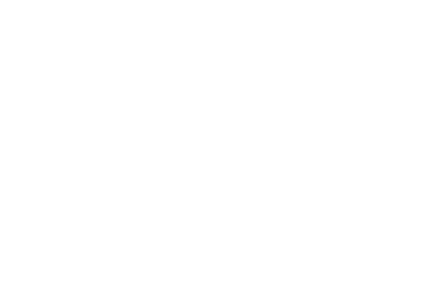 Exmar logo pour fonds sombres (PNG transparent)