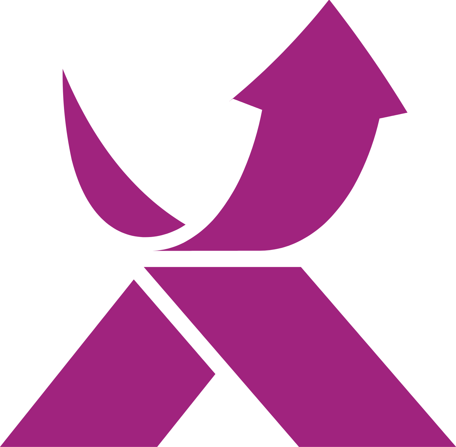 Exclusive Networks logo (transparent PNG)