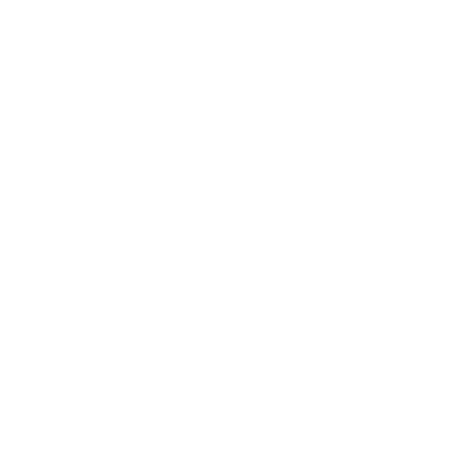 Exclusive Networks Logo für dunkle Hintergründe (transparentes PNG)