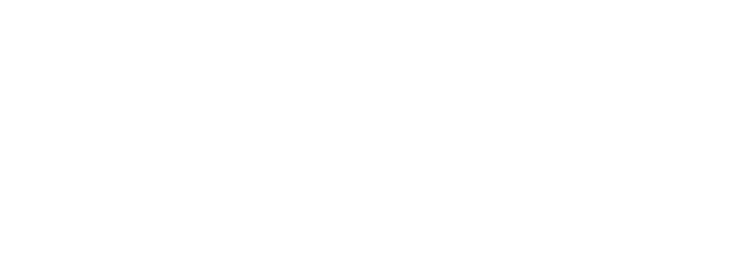 Exclusive Networks logo large for dark backgrounds (transparent PNG)