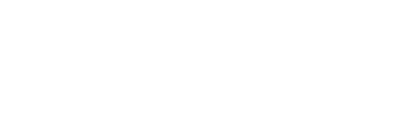 Experian logo large for dark backgrounds (transparent PNG)