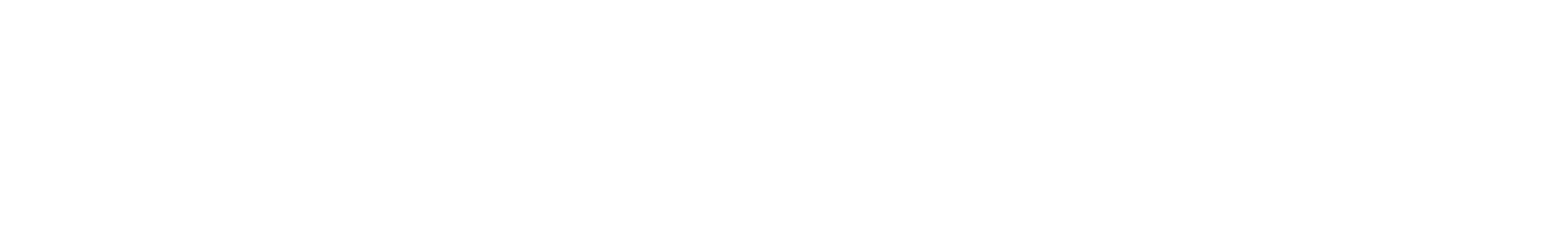 Express logo large for dark backgrounds (transparent PNG)