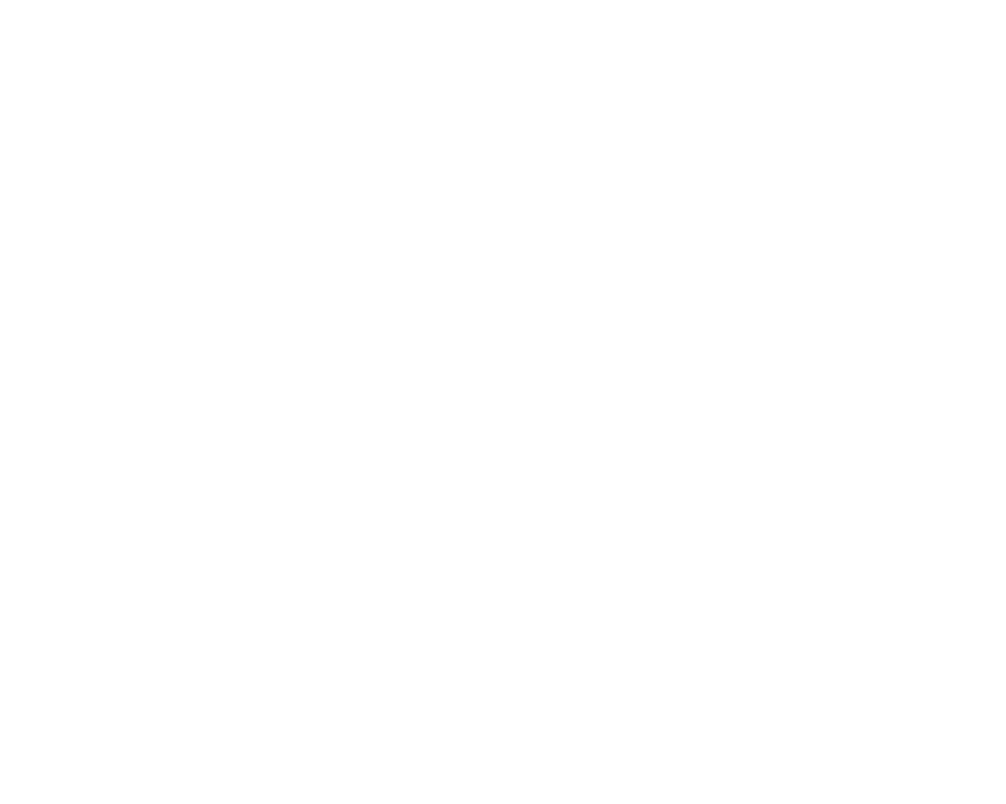 National Vision Holdings logo on a dark background (transparent PNG)