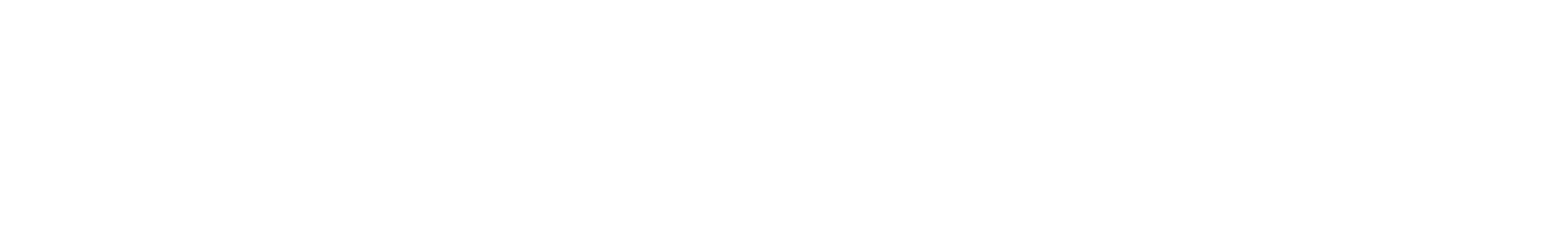 First Advantage Logo groß für dunkle Hintergründe (transparentes PNG)
