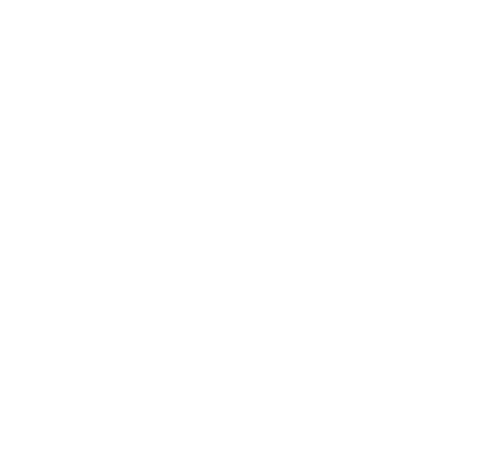 Femasys logo for dark backgrounds (transparent PNG)