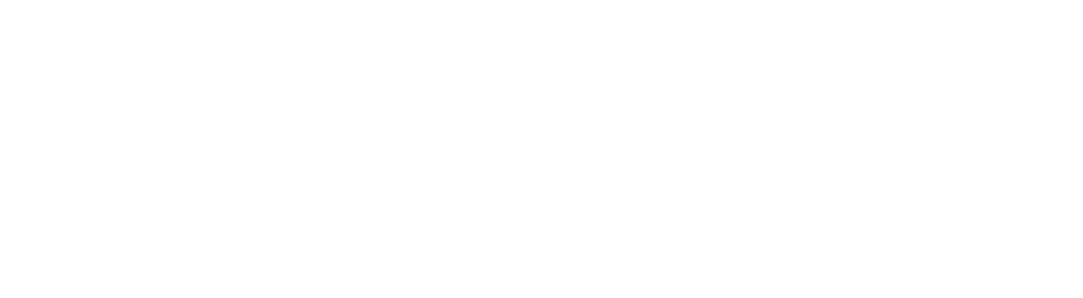 Femasys logo grand pour les fonds sombres (PNG transparent)