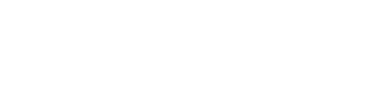 Femasys Logo groß für dunkle Hintergründe (transparentes PNG)