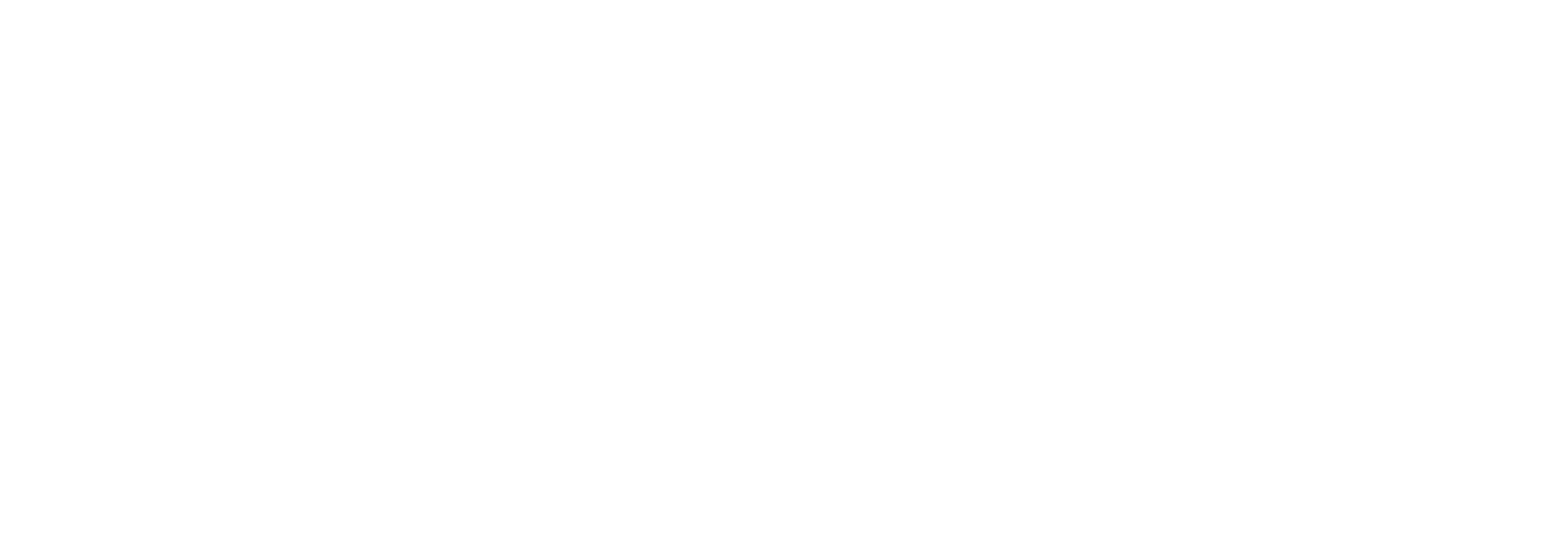 FICO Logo für dunkle Hintergründe (transparentes PNG)