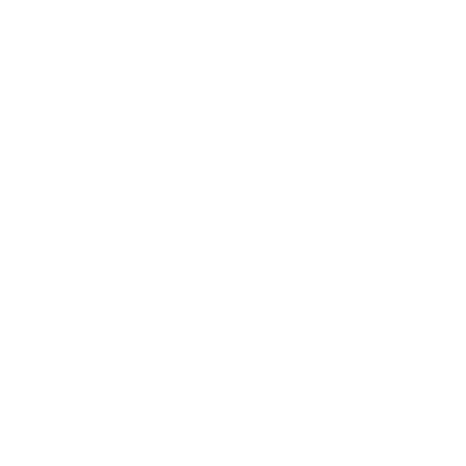 Fidelis Insurance logo for dark backgrounds (transparent PNG)