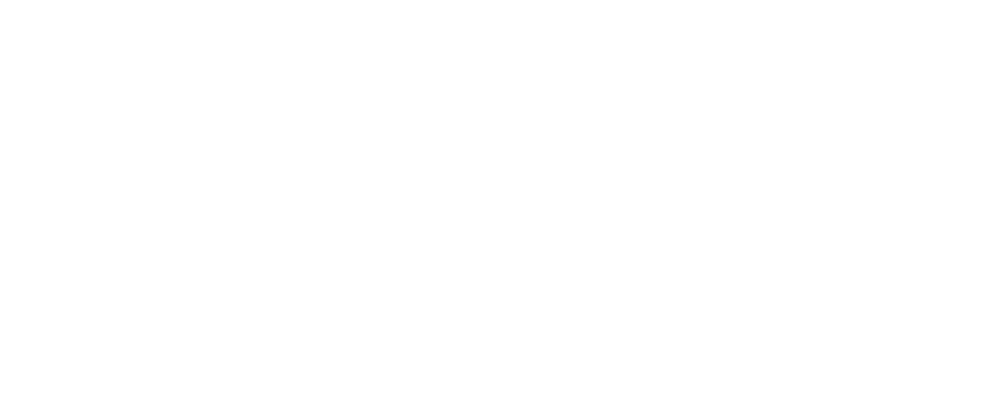 Fidelis Insurance logo large for dark backgrounds (transparent PNG)