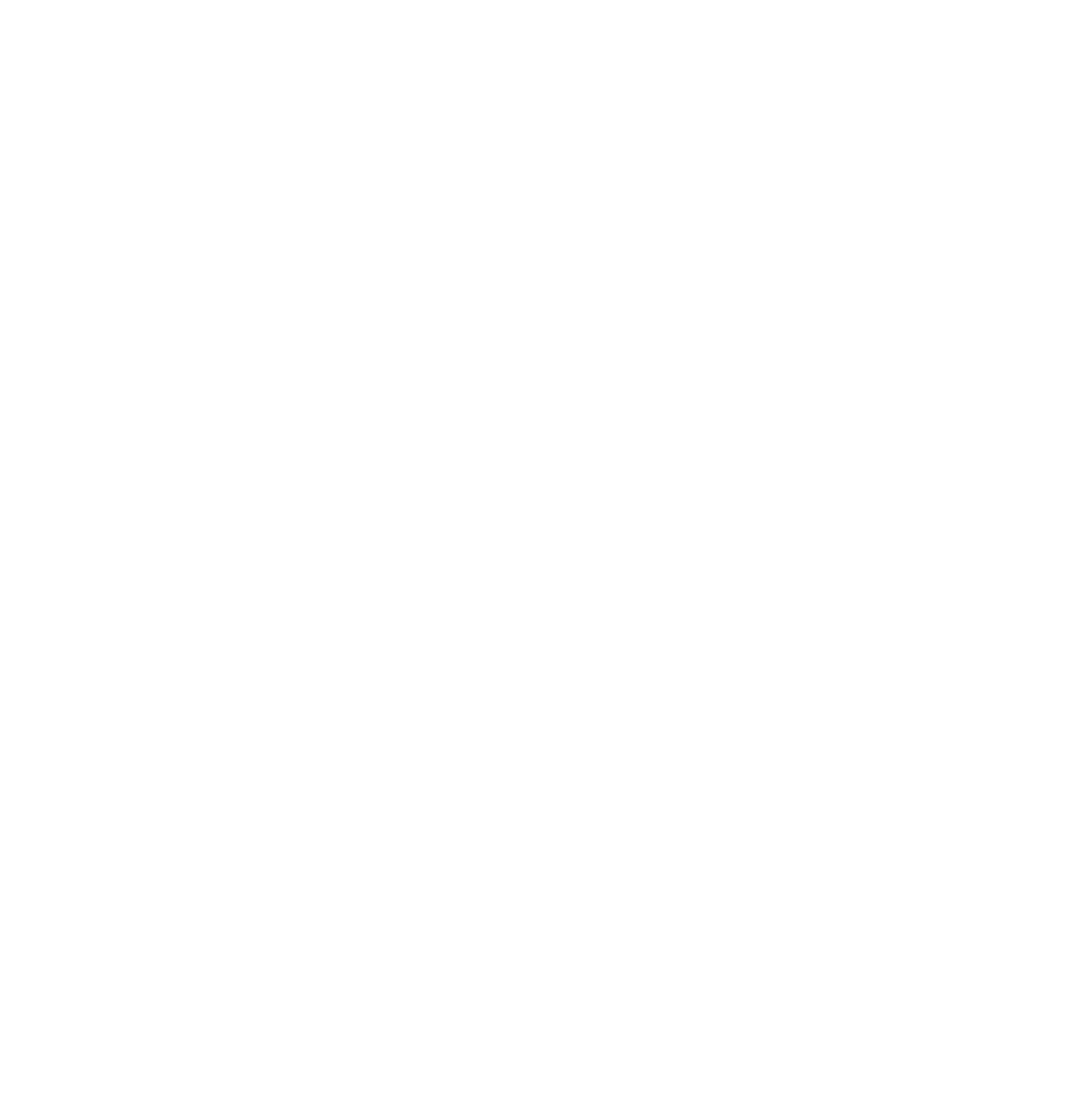 First National of Nebraska
 logo for dark backgrounds (transparent PNG)