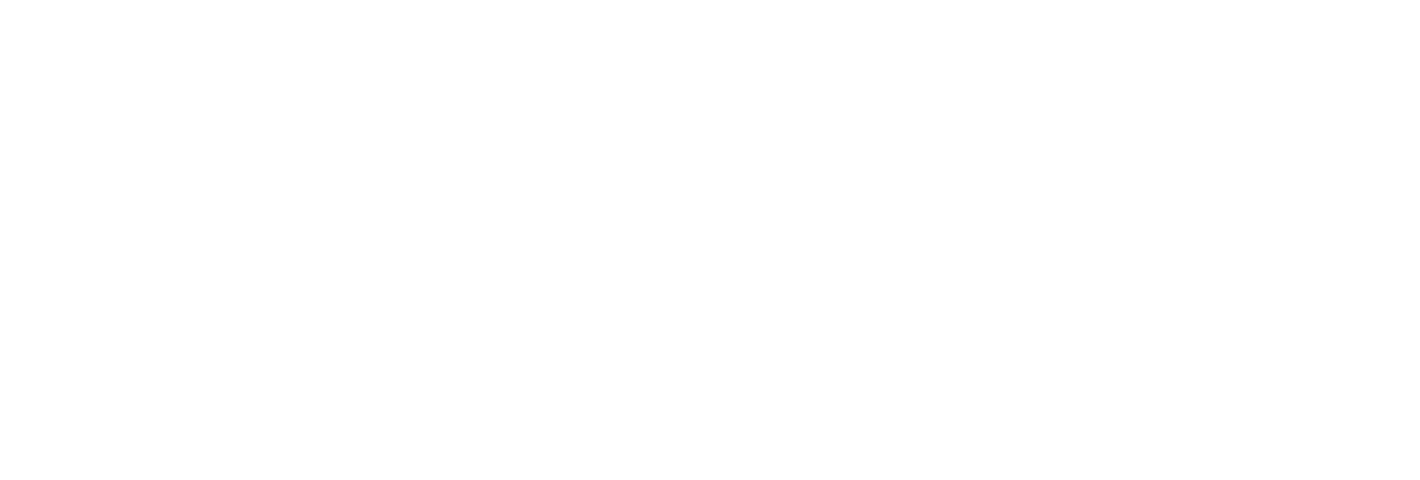 FinWise Bancorp logo large for dark backgrounds (transparent PNG)
