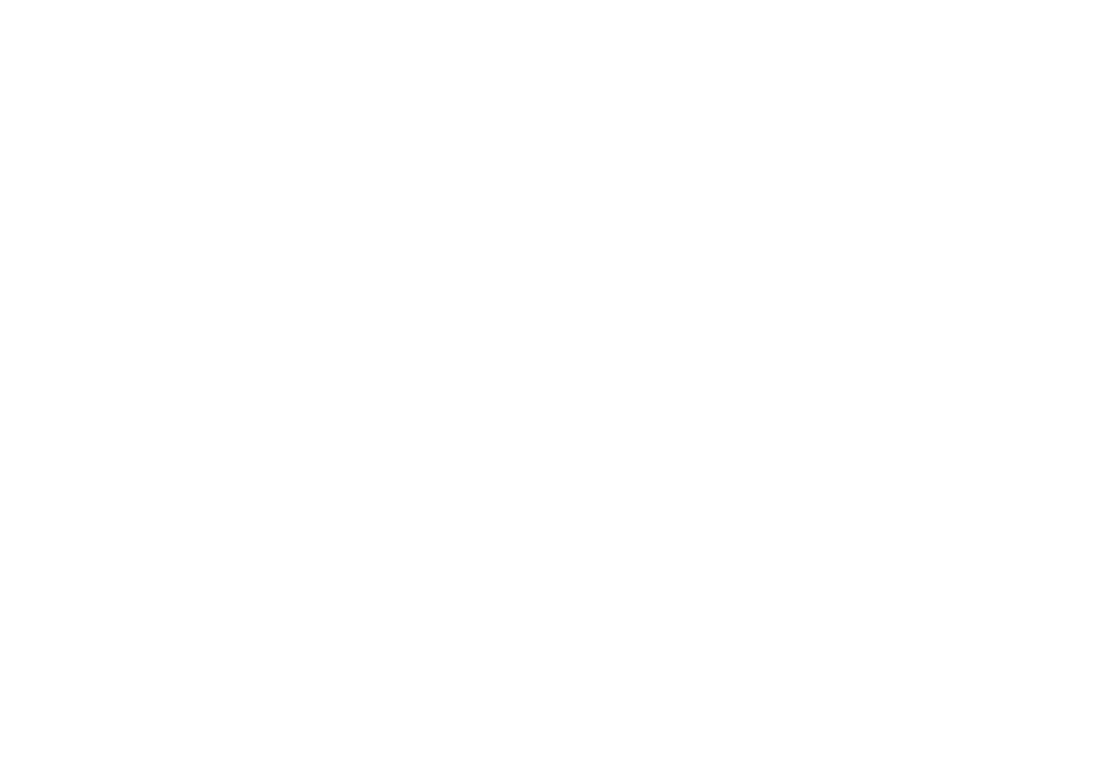 X5 Retail Group Logo für dunkle Hintergründe (transparentes PNG)