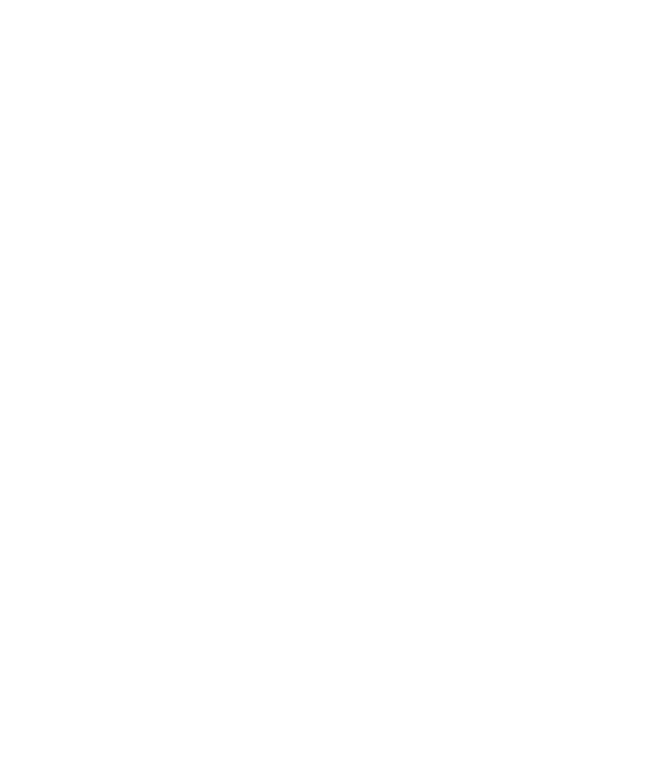 Flex Lng
 Logo für dunkle Hintergründe (transparentes PNG)