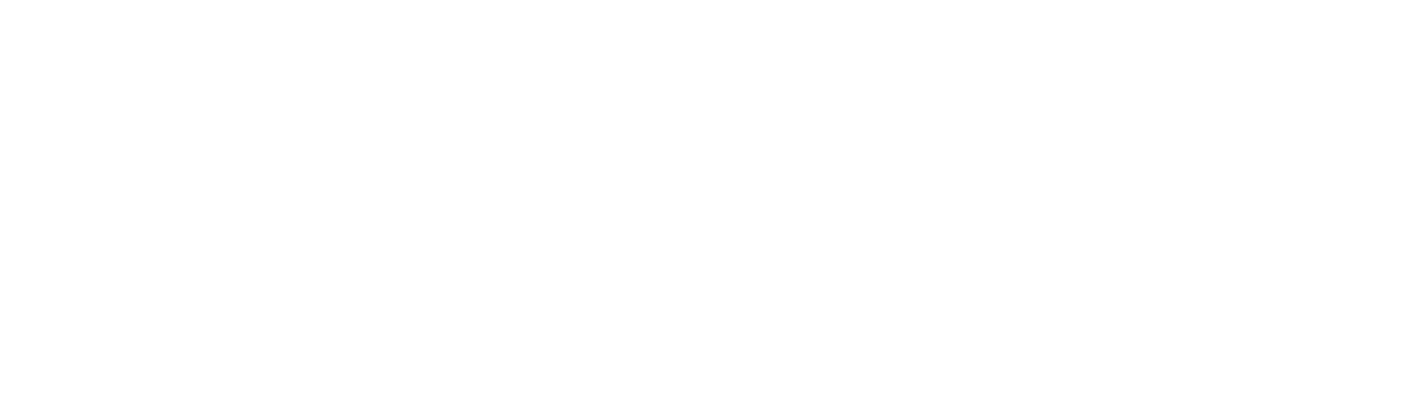 Flex Lng
 logo large for dark backgrounds (transparent PNG)