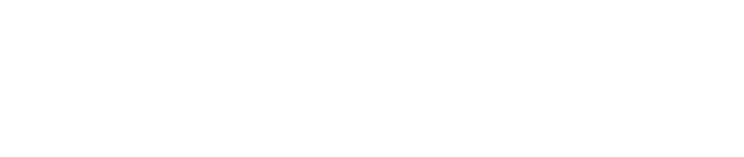 Flutter Entertainment Logo groß für dunkle Hintergründe (transparentes PNG)