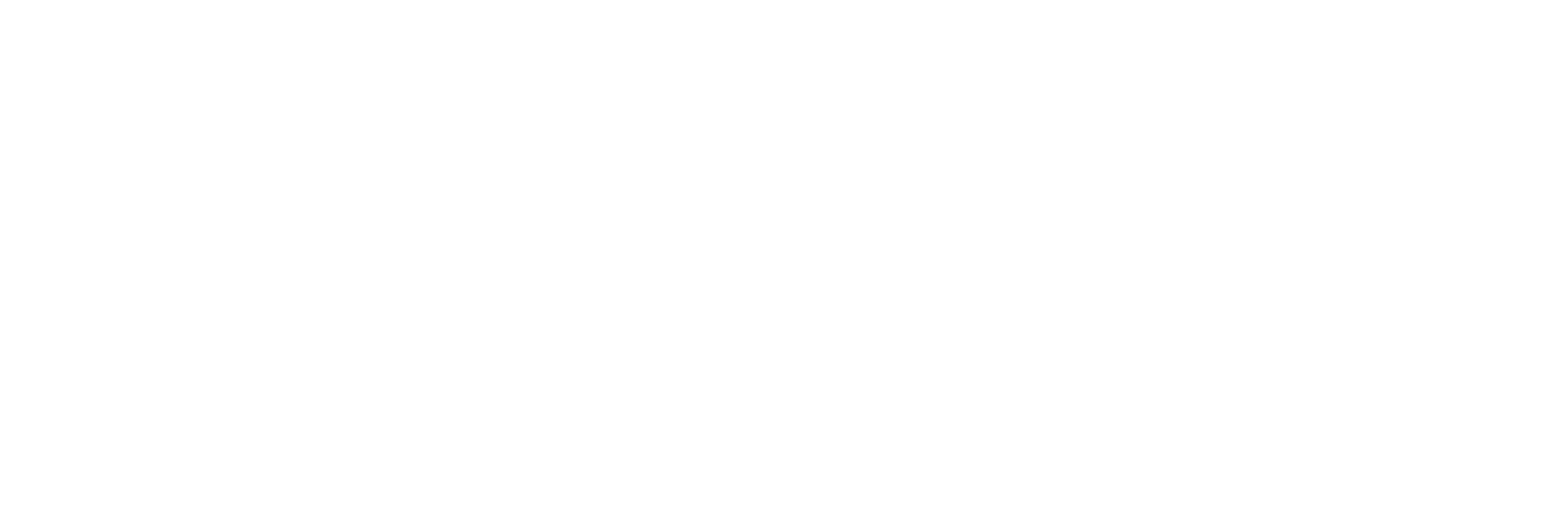 Flywire logo large for dark backgrounds (transparent PNG)
