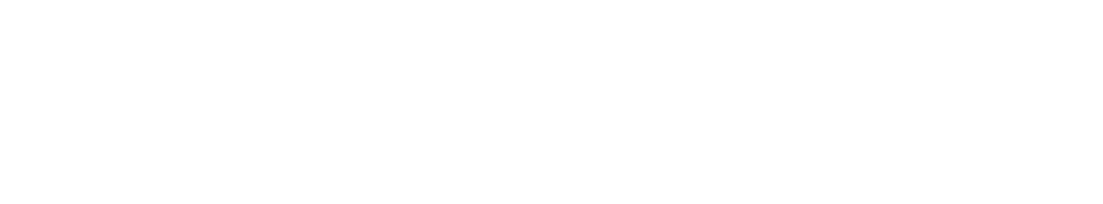 flyExclusive Logo groß für dunkle Hintergründe (transparentes PNG)