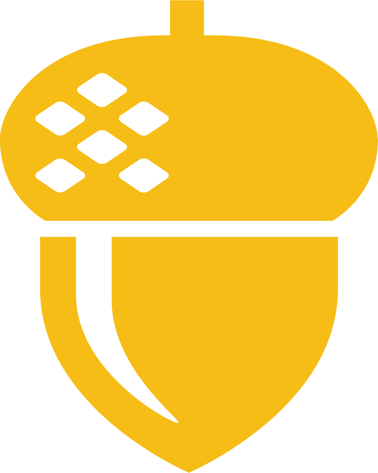 First National Financial Logo (transparentes PNG)