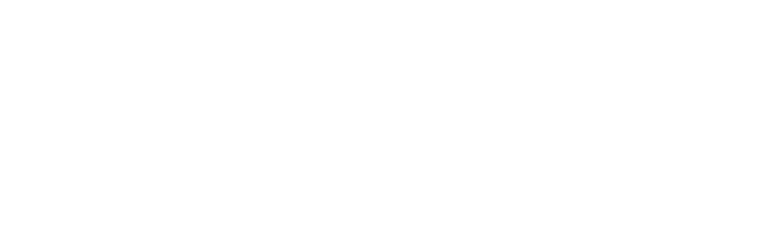 First National Financial logo large for dark backgrounds (transparent PNG)