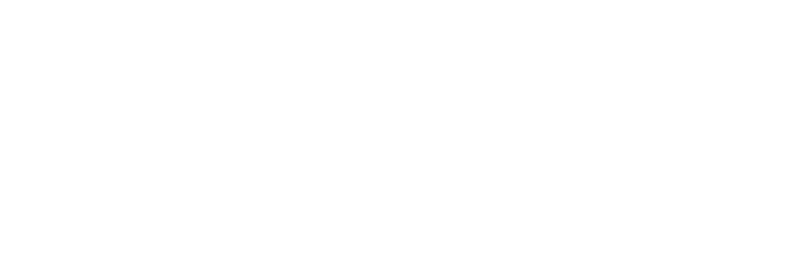 Paragon 28 logo fulle size on a dark background (transparent PNG)