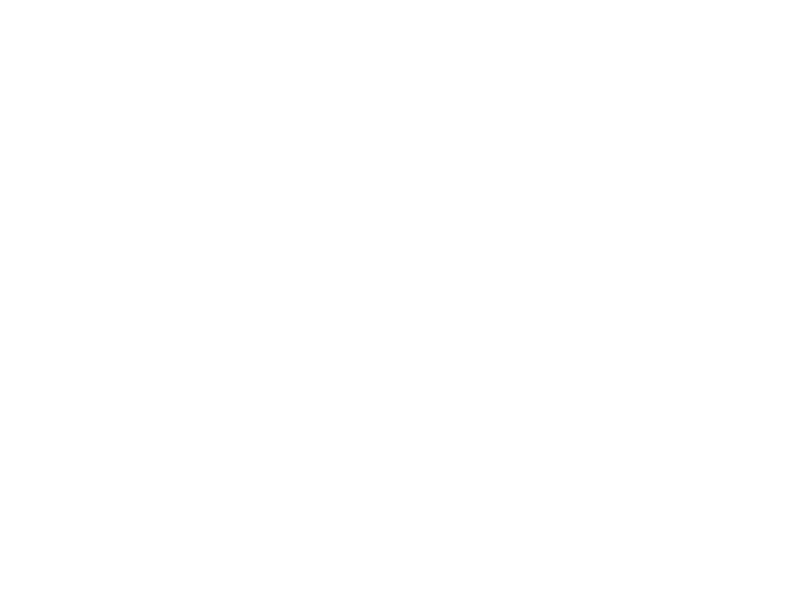 FNM S.p.A. Logo für dunkle Hintergründe (transparentes PNG)