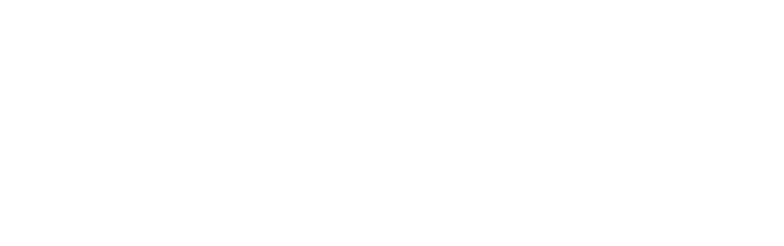 FNM S.p.A. Logo groß für dunkle Hintergründe (transparentes PNG)