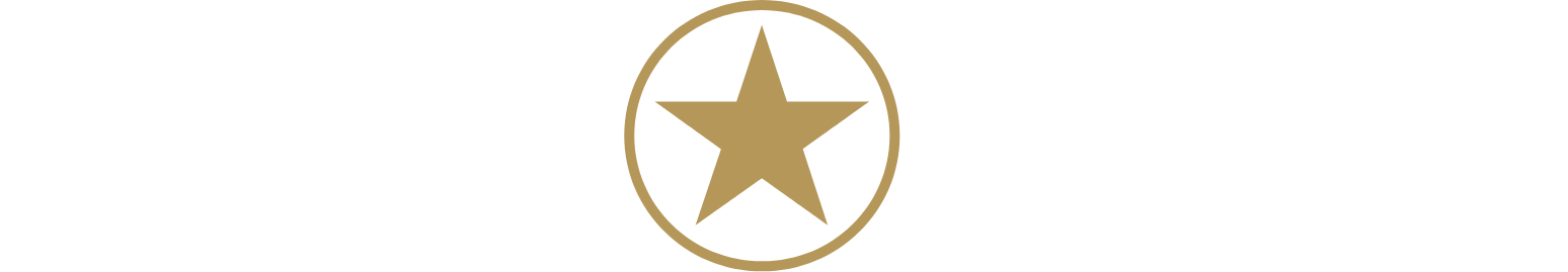 Franco-Nevada Logo groß für dunkle Hintergründe (transparentes PNG)