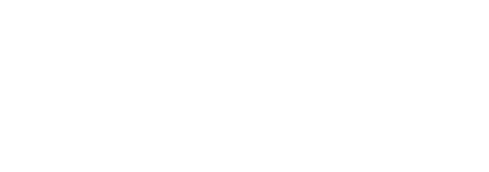 Fenix Outdoor logo large for dark backgrounds (transparent PNG)