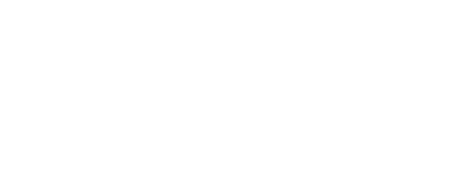 Forsee Power logo grand pour les fonds sombres (PNG transparent)