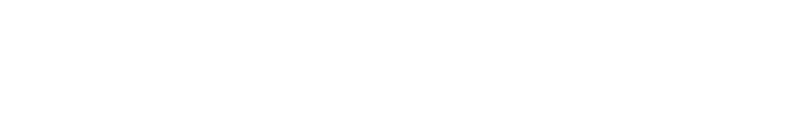Fresenius logo large for dark backgrounds (transparent PNG)