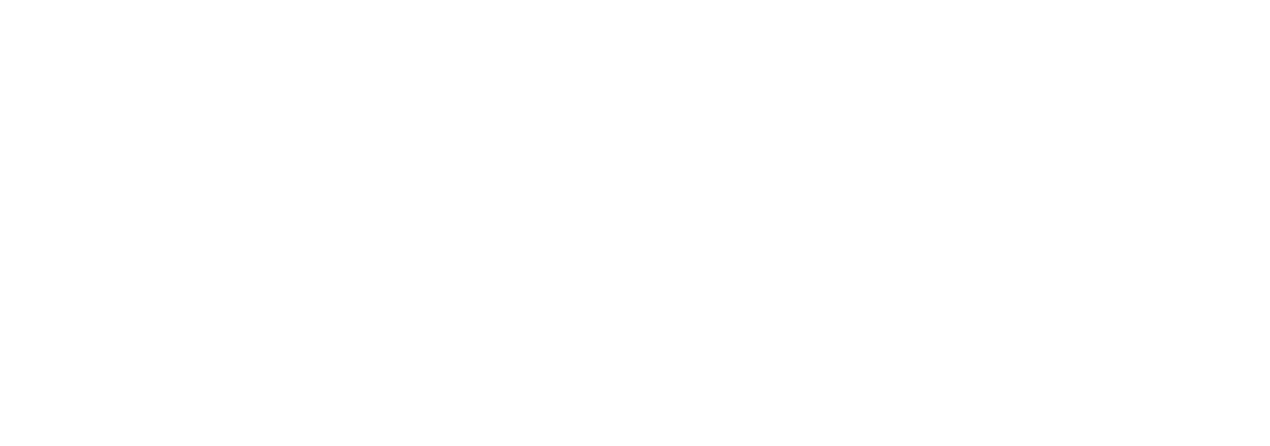 Franchise Group logo for dark backgrounds (transparent PNG)