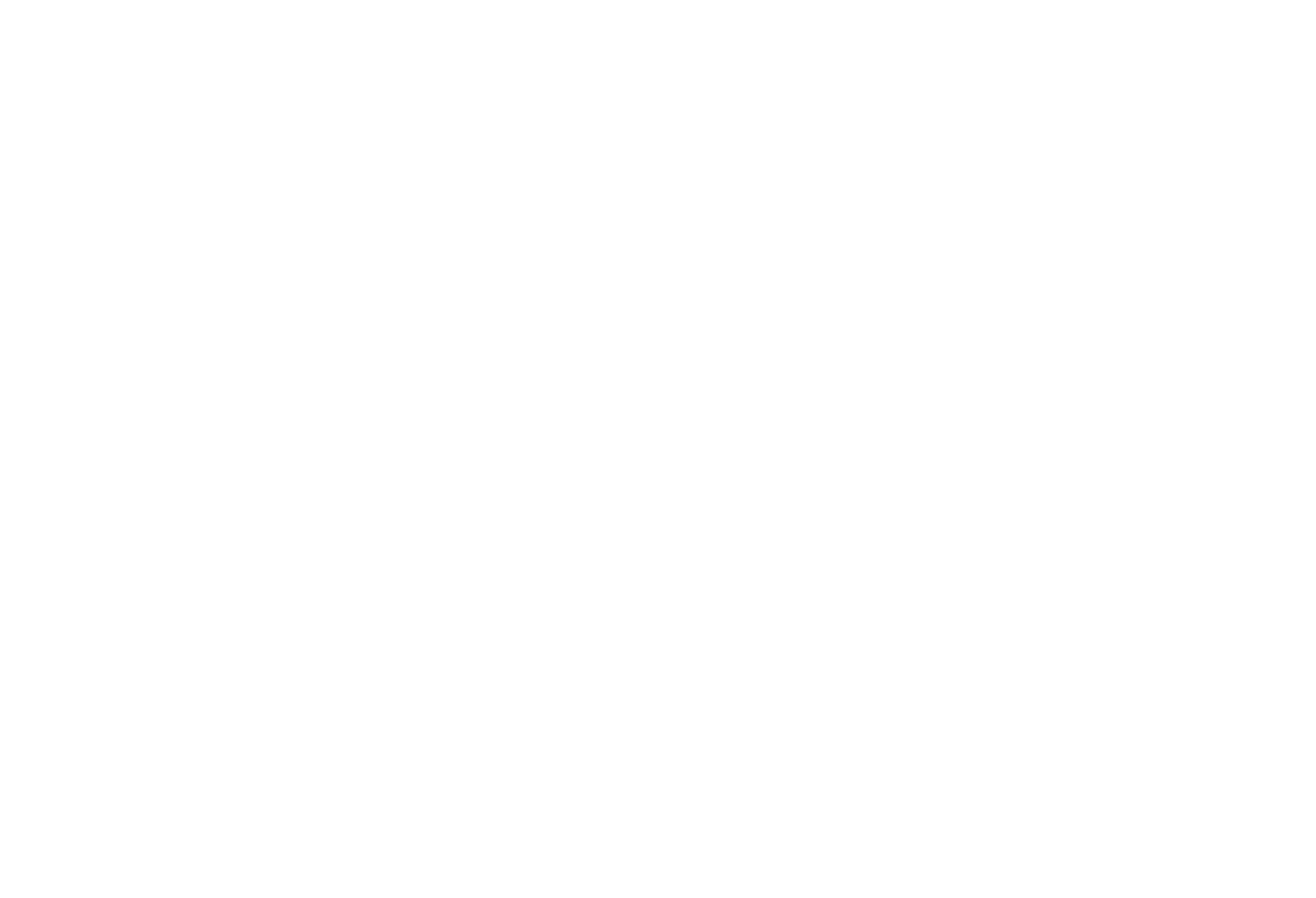 Franchise Group logo large for dark backgrounds (transparent PNG)