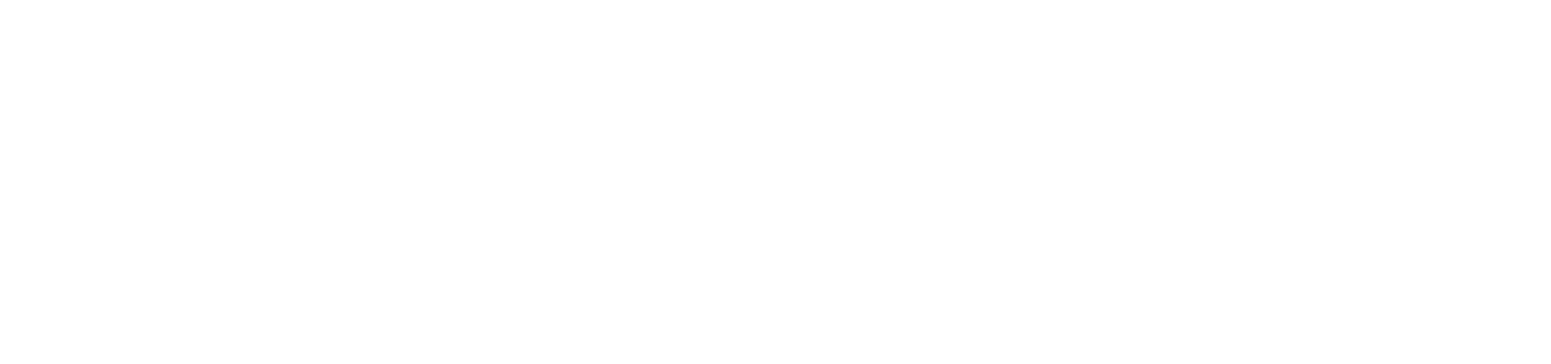Foresight Group logo fulle size on a dark background (transparent PNG)