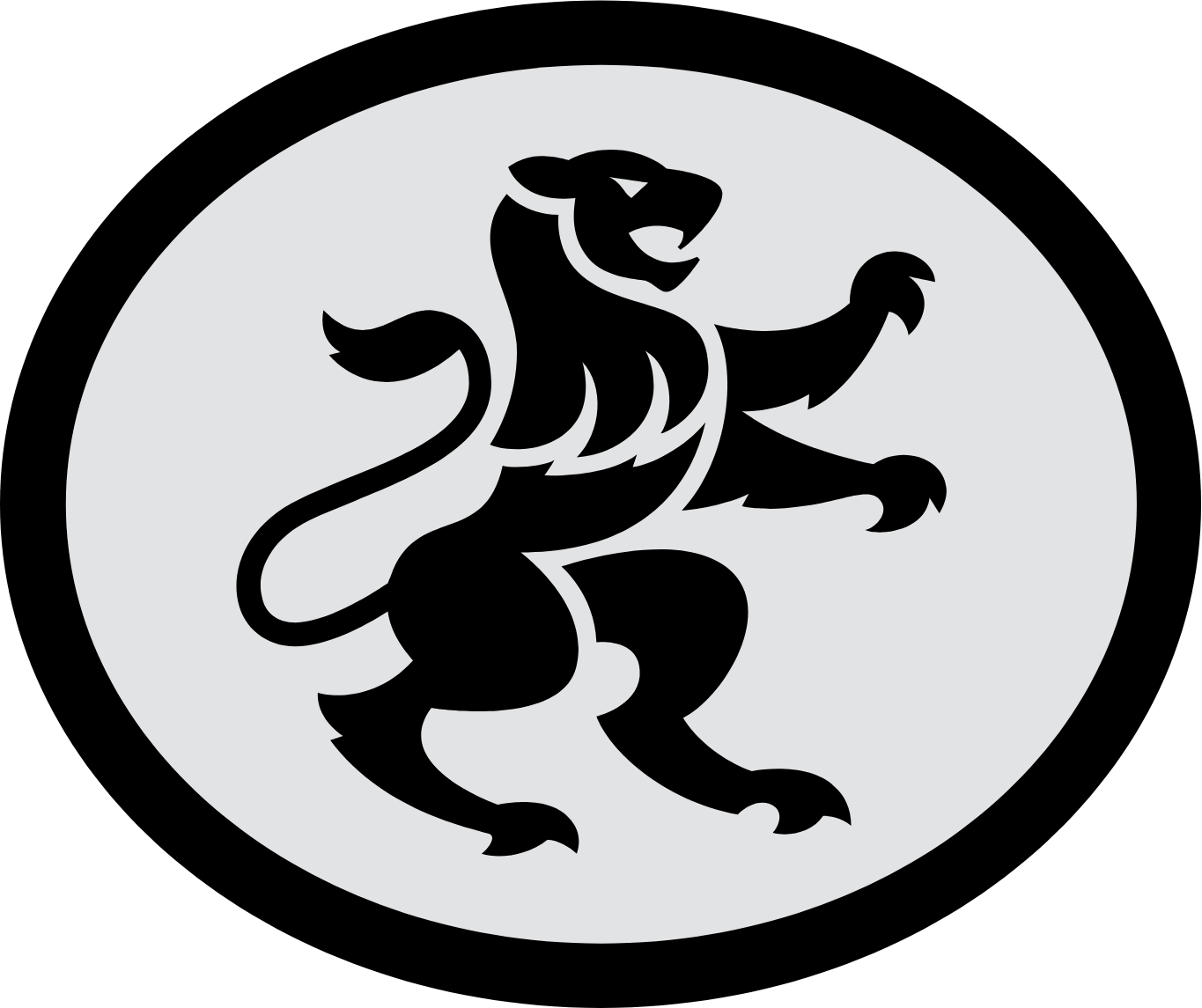 FirstRand Logo (transparentes PNG)